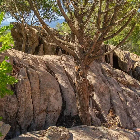 San Teodoro - By Searly *