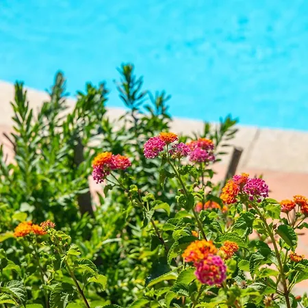 San Teodoro - By Searly ヴィラ Punta Molara